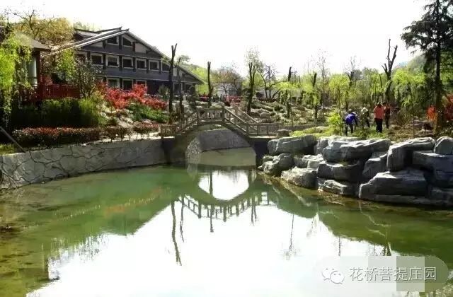 這個(gè)周末，隴南康縣花橋有大事要發(fā)生？