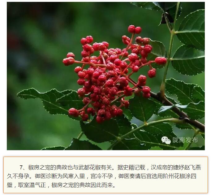 蘭渝鐵路最早由孫中山先生提出？在隴南，你不知道的事兒還有……