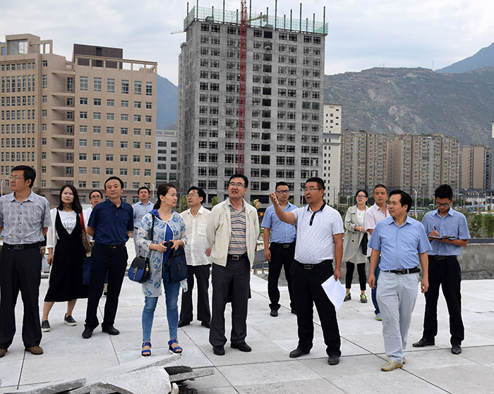 省、市聯(lián)合工作組蒞臨階州廣場檢查指導(dǎo)工作