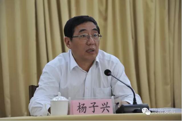 全國(guó)電商精準(zhǔn)扶貧現(xiàn)場(chǎng)會(huì)在隴南召開