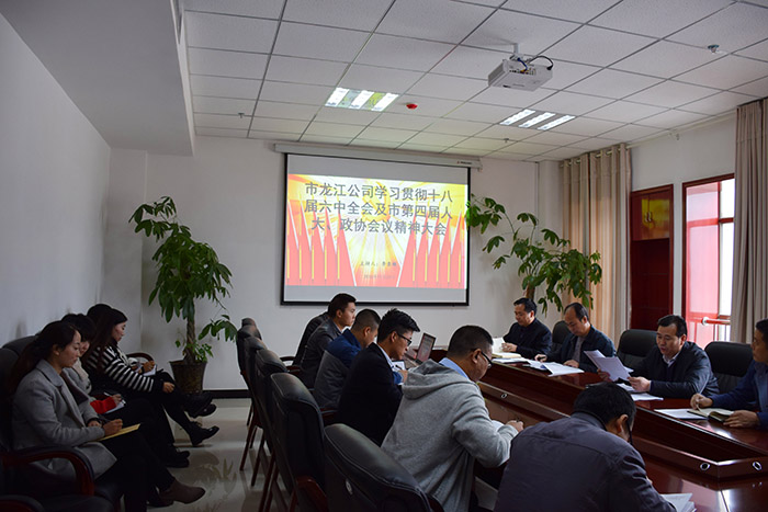 市龍江公司召開全體員工大會，專題傳達(dá)學(xué)習(xí)上級會議精神
