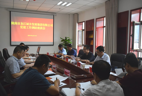 隴南市委常委、組織部部長(zhǎng)楊郃調(diào)研指導(dǎo)市龍江城鄉(xiāng)發(fā)展集團(tuán)公司黨建工作
