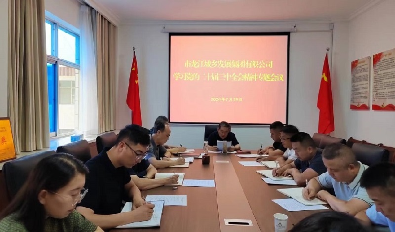 市龍江集團召開黨委(擴大)會議傳達學(xué)習貫徹黨的二十屆三中全會精神